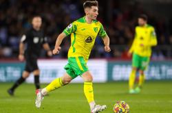 亚博-包含凯恩遭遇七连败，塞尔维亚队教练面临压力！的词条